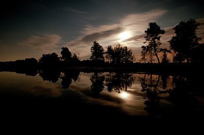 BUITEN BEELD Foto: 176296