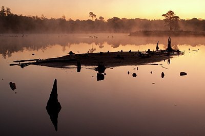 BUITEN BEELD Foto: 176306