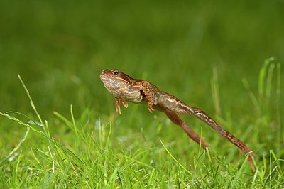 BUITEN BEELD Foto: 176318