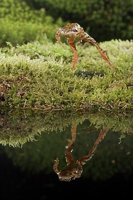 BUITEN BEELD Foto: 176320