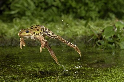 BUITEN BEELD Foto: 176323