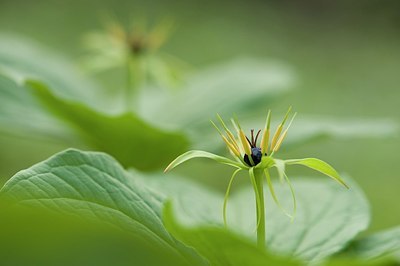 BUITEN BEELD Foto: 176356