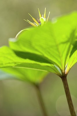 BUITEN BEELD Foto: 176361