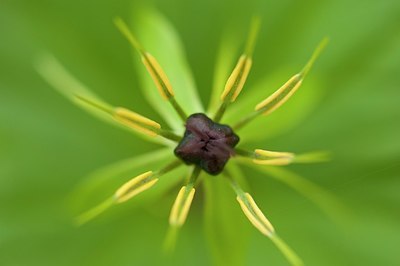 BUITEN BEELD Foto: 176364