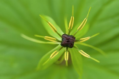 BUITEN BEELD Foto: 176365