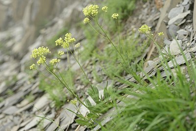 BUITEN BEELD Foto: 176480