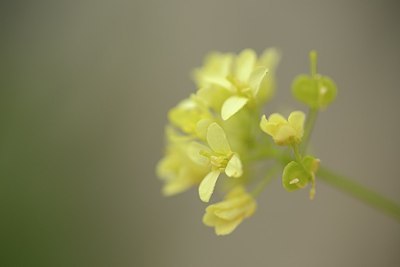 BUITEN BEELD Foto: 176487