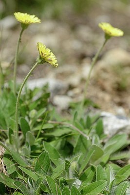 BUITEN BEELD Foto: 176578