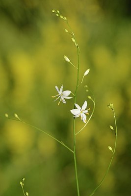 BUITEN BEELD Foto: 176612