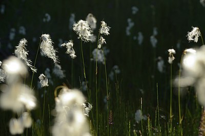 BUITEN BEELD Foto: 176616