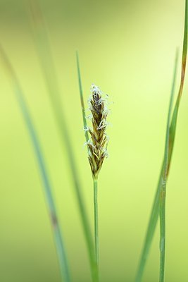 BUITEN BEELD Foto: 176618