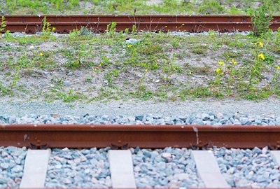 BUITEN BEELD Foto: 176676