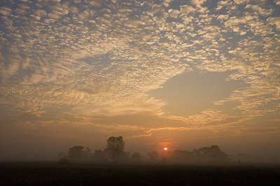 BUITEN BEELD Foto: 176731