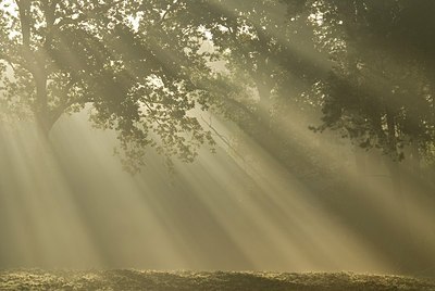 BUITEN BEELD Foto: 176777