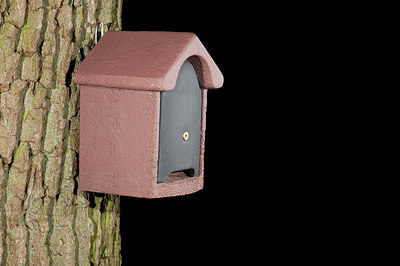 BUITEN BEELD Foto: 176790