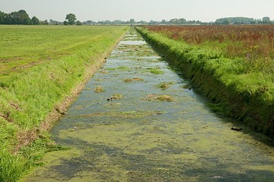 BUITEN BEELD Foto: 176804