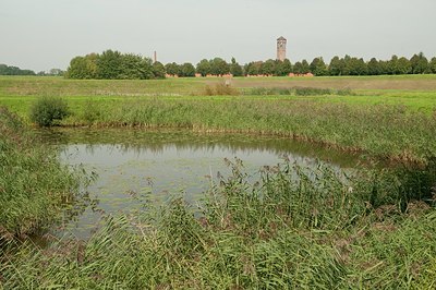 BUITEN BEELD Foto: 176809