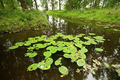 BUITEN BEELD Foto: 176812