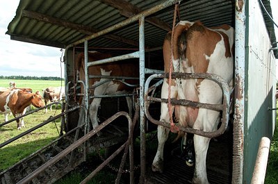 BUITEN BEELD Foto: 176830