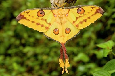 BUITEN BEELD Foto: 176880