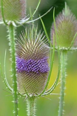 BUITEN BEELD Foto: 176948