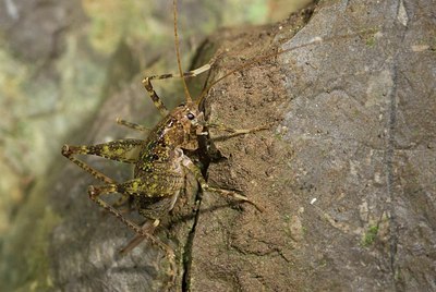 BUITEN BEELD Foto: 176963