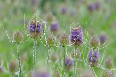 BUITEN BEELD Foto: 176971