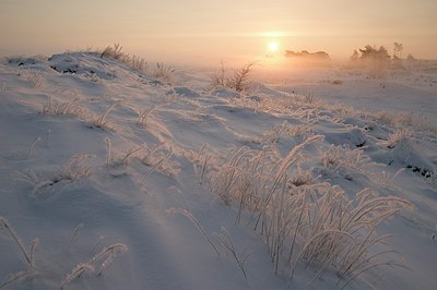 BUITEN BEELD Foto: 176997