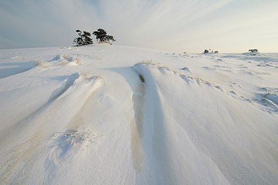 BUITEN BEELD Foto: 177004