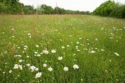 BUITEN BEELD Foto: 177007