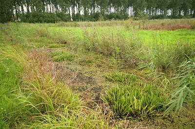 BUITEN BEELD Foto: 177040