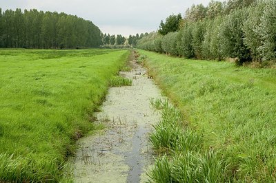 BUITEN BEELD Foto: 177048