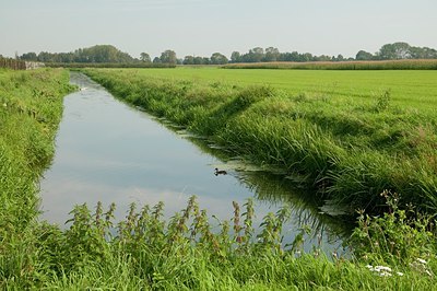 BUITEN BEELD Foto: 177053