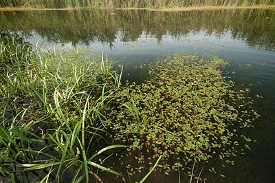 BUITEN BEELD Foto: 177062