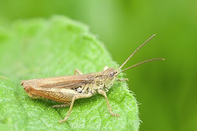 BUITEN BEELD Foto: 177081