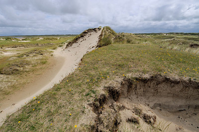 BUITEN BEELD Foto: 177114