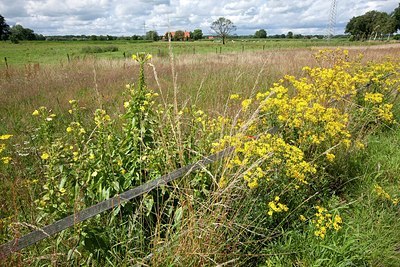 BUITEN BEELD Foto: 177146