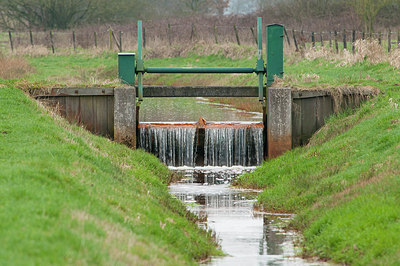 BUITEN BEELD Foto: 177152