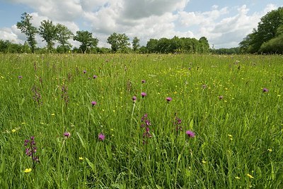 BUITEN BEELD Foto: 177158