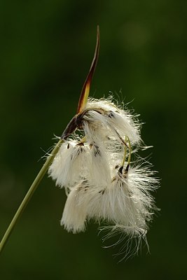 BUITEN BEELD Foto: 177299