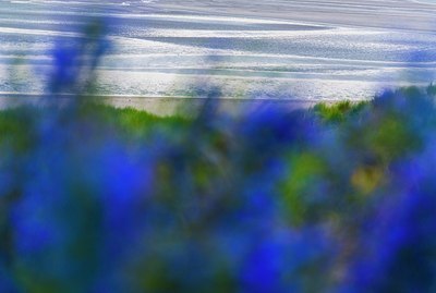 BUITEN BEELD Foto: 177312