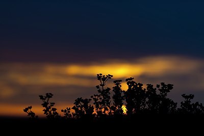 BUITEN BEELD Foto: 177331