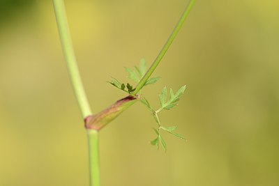 BUITEN BEELD Foto: 177354