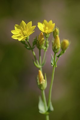 BUITEN BEELD Foto: 177365