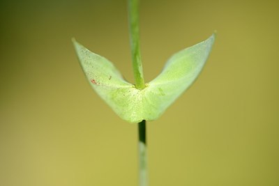 BUITEN BEELD Foto: 177366