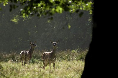 BUITEN BEELD Foto: 177406