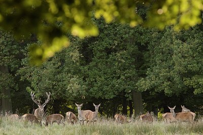 BUITEN BEELD Foto: 177408