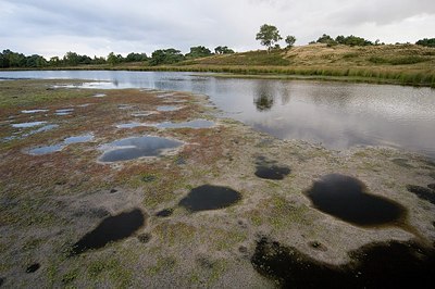 BUITEN BEELD Foto: 177436