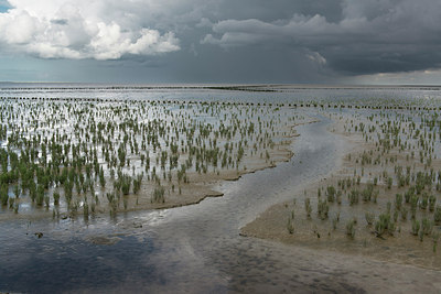 BUITEN BEELD Foto: 177439