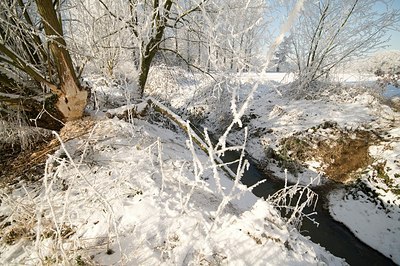 BUITEN BEELD Foto: 177478